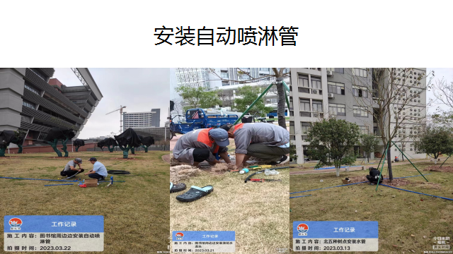 william威廉中文官网