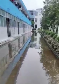 william威廉中文官网